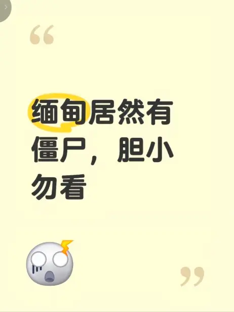 《缅甸僵尸出土事件》视频完整版在线观看-揭秘缅北神秘事件高清无删减