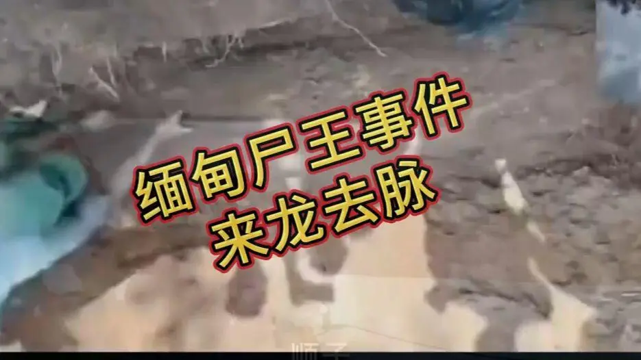 在线观看《缅甸僵尸出土事件视频》诡异真相解密-完整版资源缅北僵尸出土事件始末原视频高清下载-超清未删减全程录像免费播放